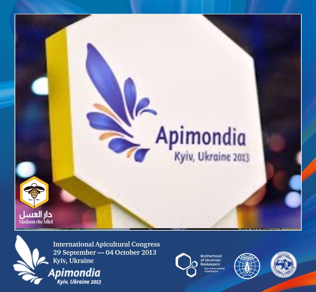 546414088_1361128879347992_5907841025968351712_n